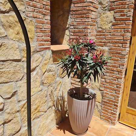 Casa Rural Del Pantano 4 Estrellas Buenache de Alarcon 外观 照片