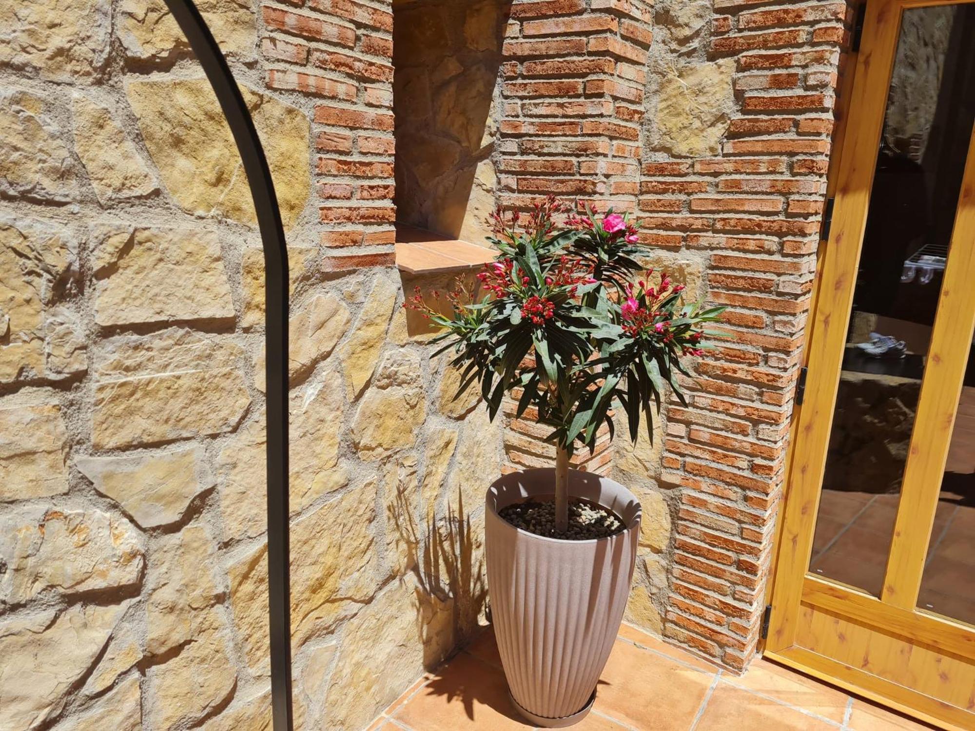 Casa Rural Del Pantano 4 Estrellas Buenache de Alarcon 外观 照片
